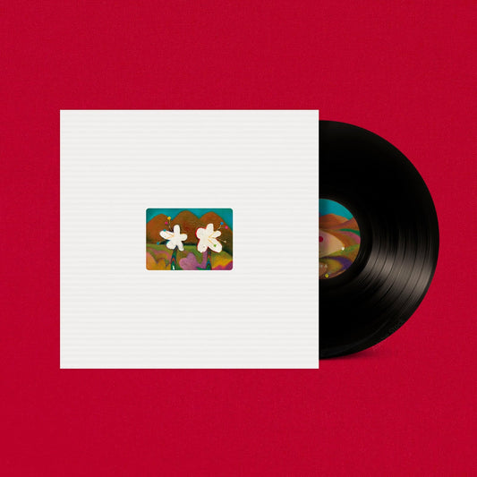 AKMU Flowering 개화 4th full album black vinyl LP cover with white flower jacket