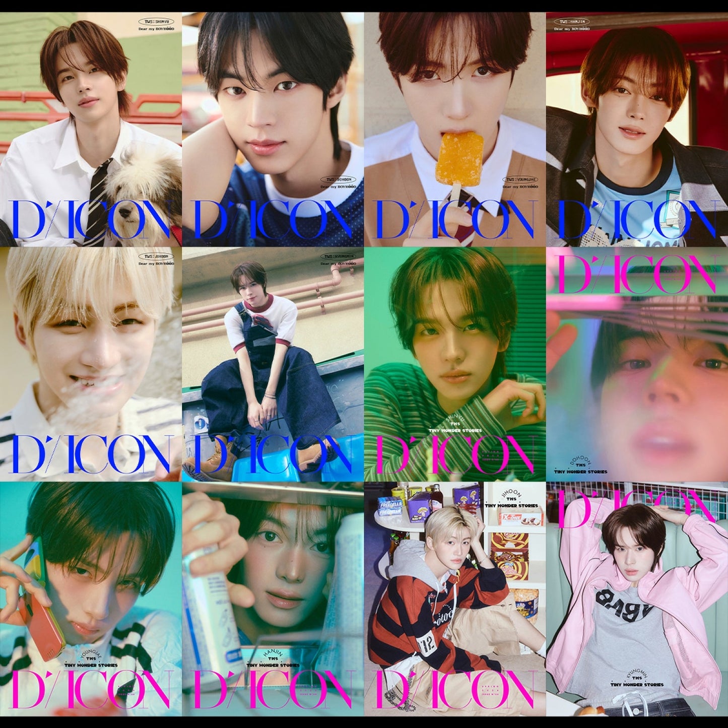 TWS DICON Volume N°34 (Tiny Wonder Stories B-Type) — all 12 member covers