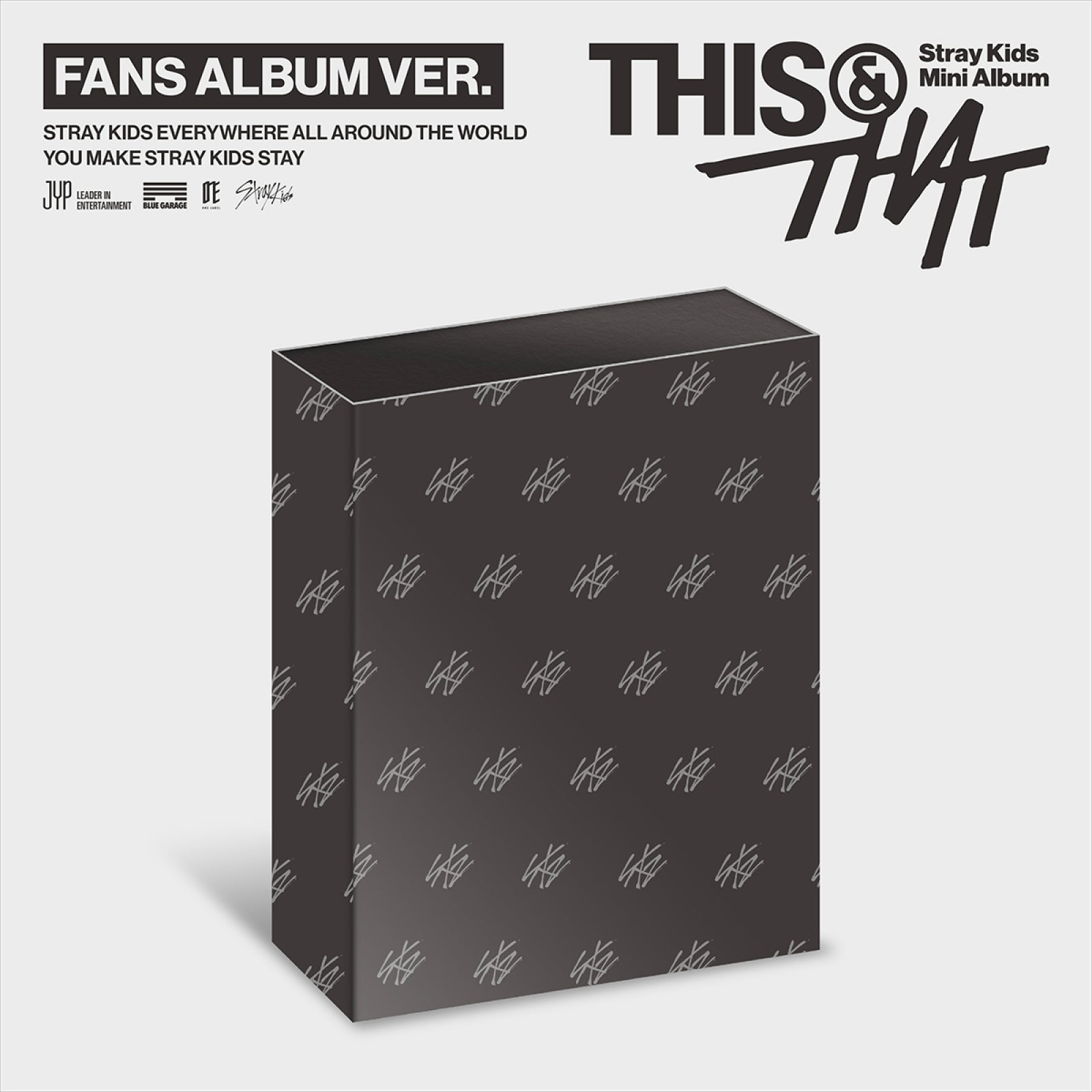 Stray Kids THIS AND THAT mini album FANS ALBUM version cover