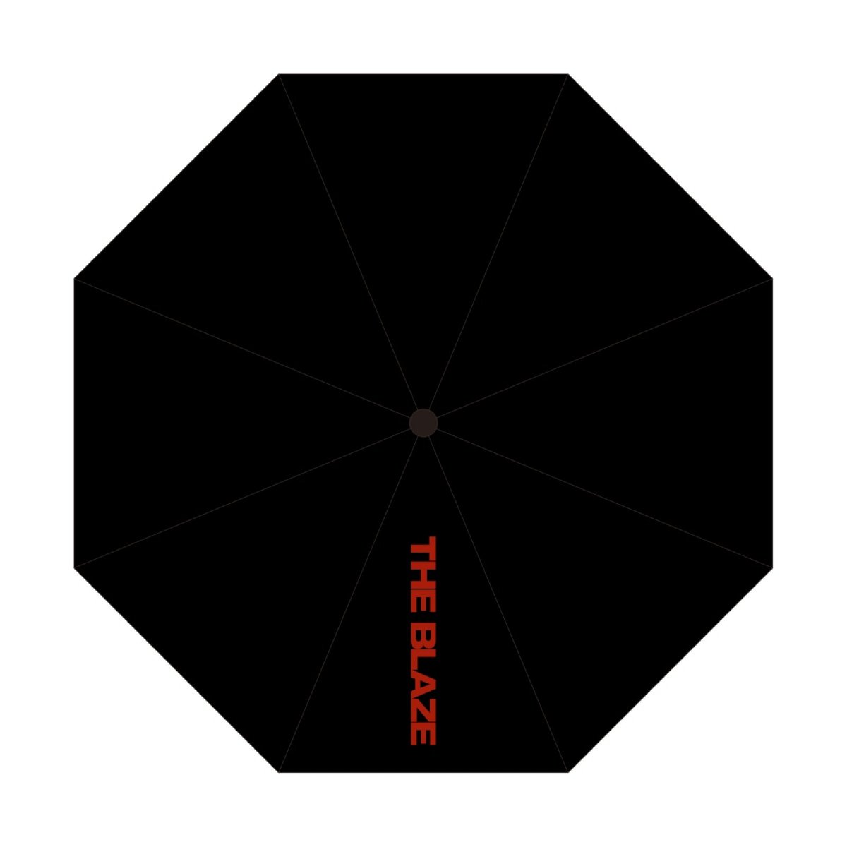 THE BOYZ - 02 FOLDING UV UMBRELLA / THE BOYZ [THE BLAZE] WORLD TOUR in SEOUL cover
